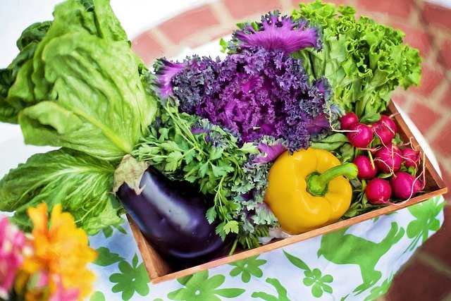 jardinage,top cadeau